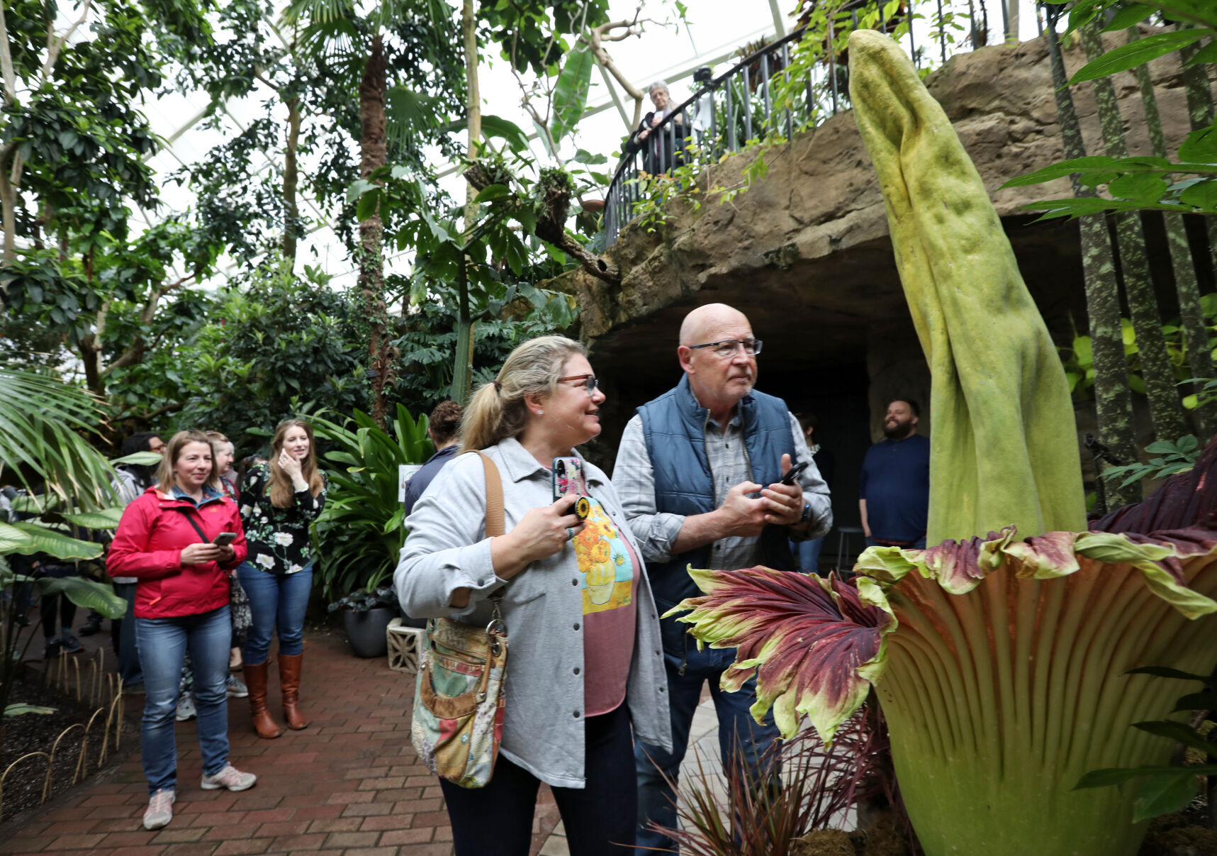 Corpse flower